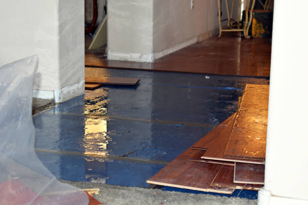 Professional Basement Flood Cleanup technician working in Milano, TX